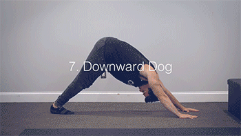 下犬式.gif 下犬式.gif